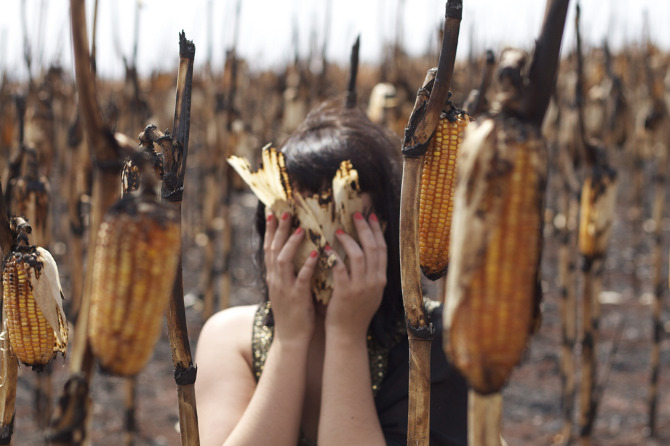 Falácia do Homem de Palha