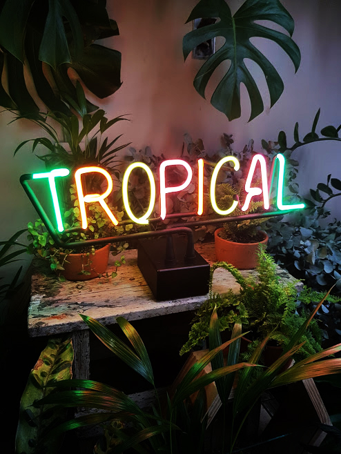 Neon //  Objetos Luminosos