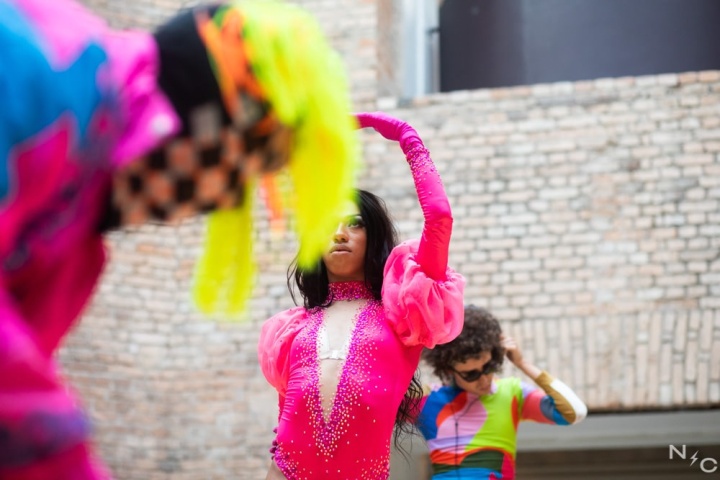 "Alôca vudu avoa furiosa", #avaf // Pinacoteca - Sp