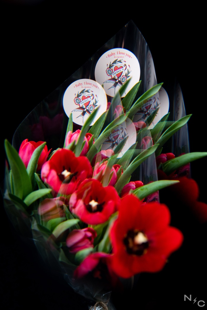 Still Magnólia - Dia dos Namorados